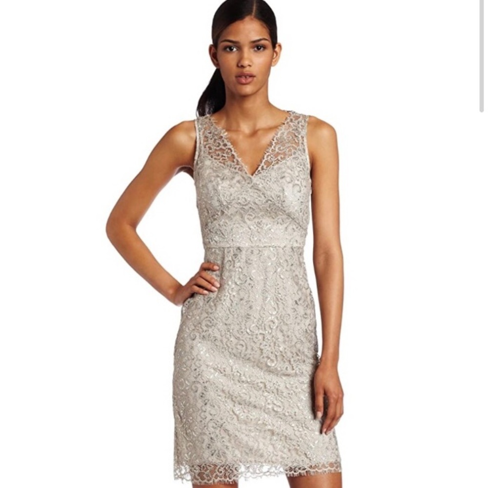 BCBG Shimmery Lynette Lace Evening Dress Size 2